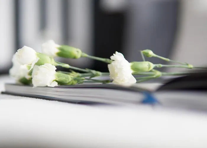 Roomsy - Happy Apes Apartment Sopot