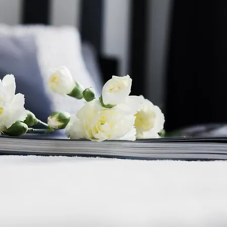 Apartment Roomsy - Happy Apes *