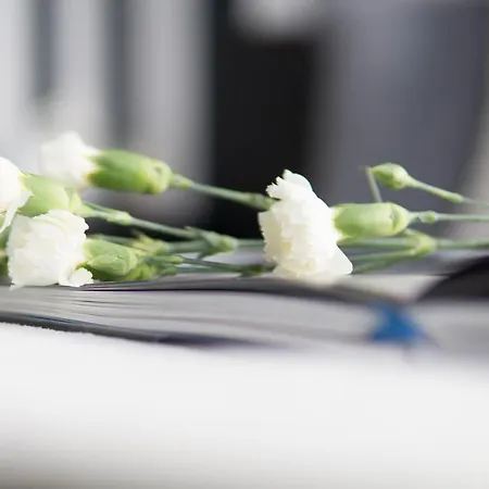 Roomsy - Happy Apes Apartment Zoppot