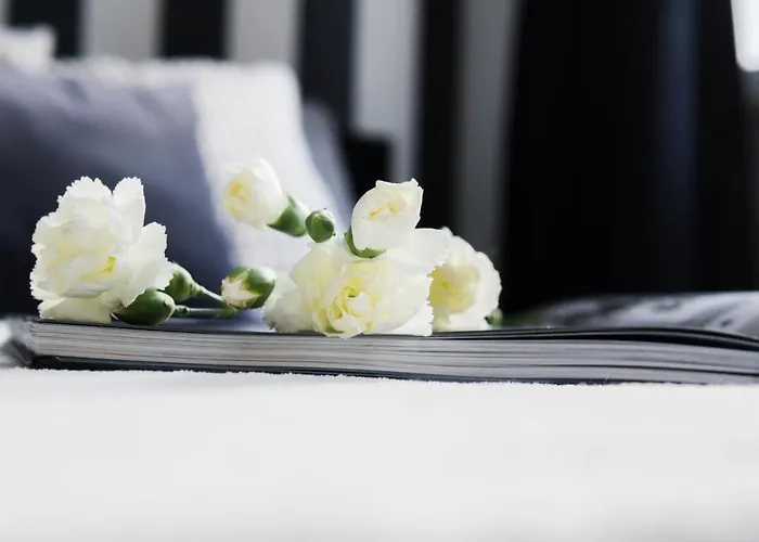 Lägenhet Roomsy - Happy Apes *